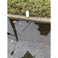 MTM king tide Oct27 image